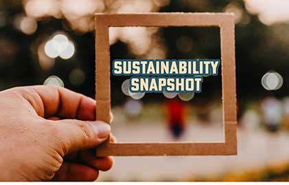Sustainability-Snap-Shot-Final-web.jpg